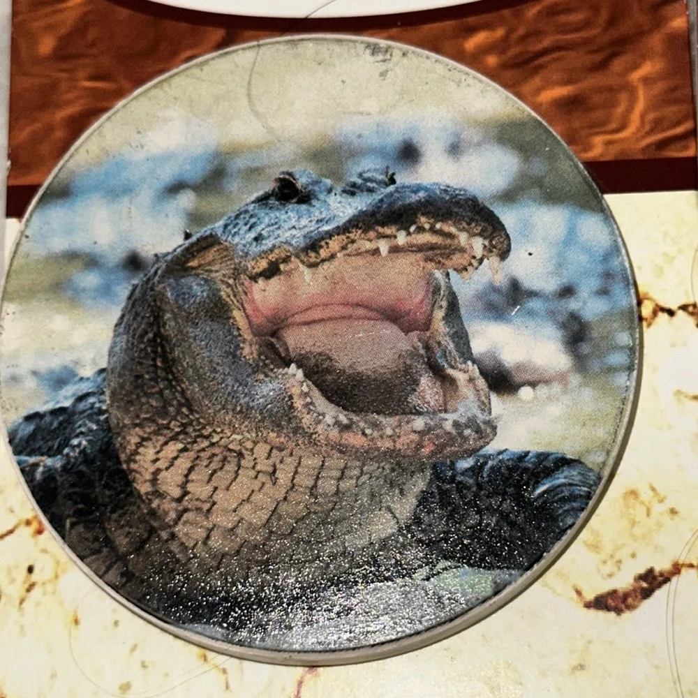 Set of 2 Alligator Gator Crocodile Ocean Beach Auto Stone Car Coasters Autostone